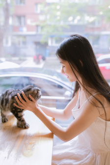 羞羞视频在线观看
